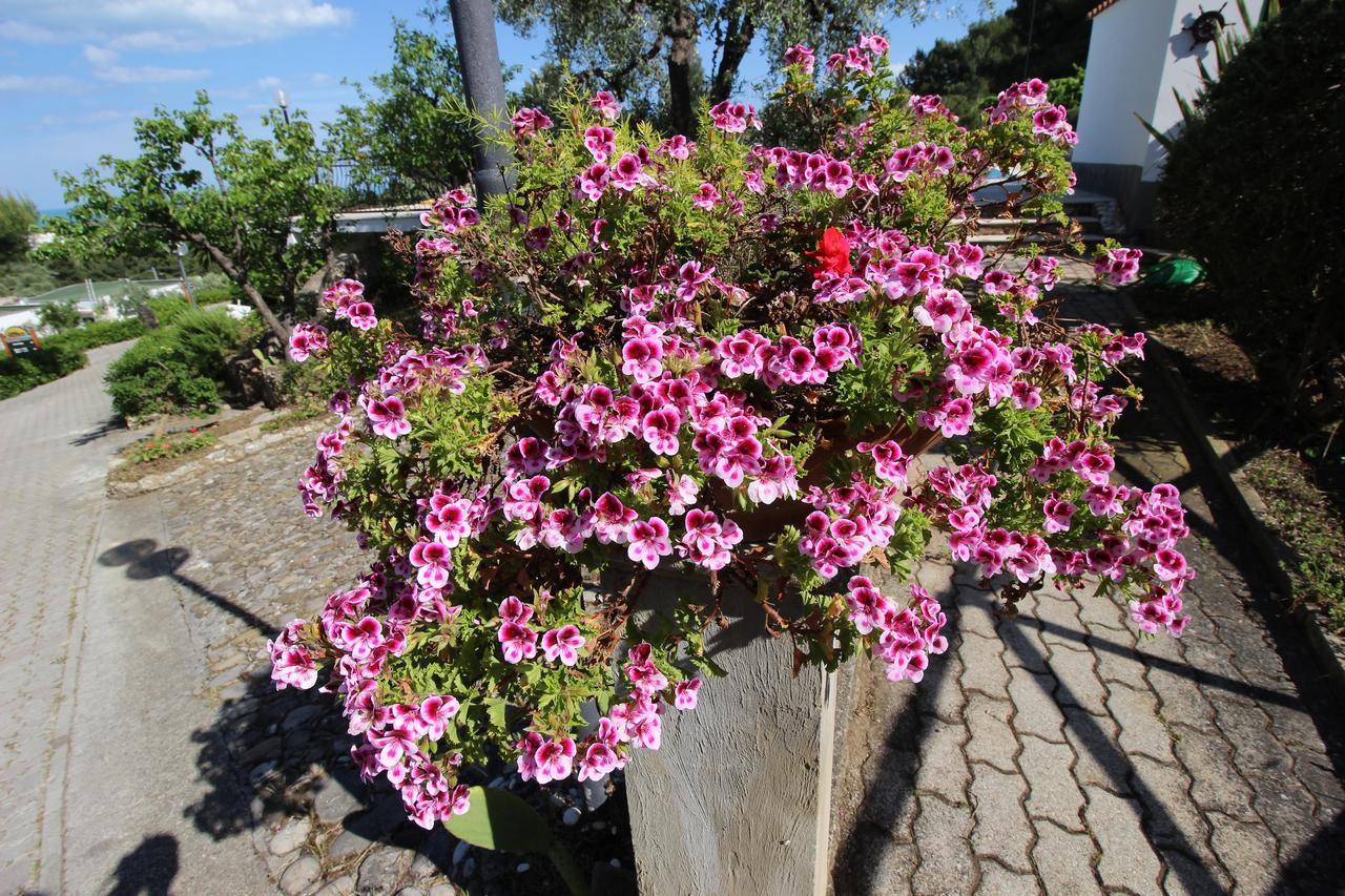 Villaggio Passo Dell'Arciprete Vieste Buitenkant foto